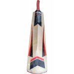 GM Purist Contender Kashmir Willow Cricket Bat